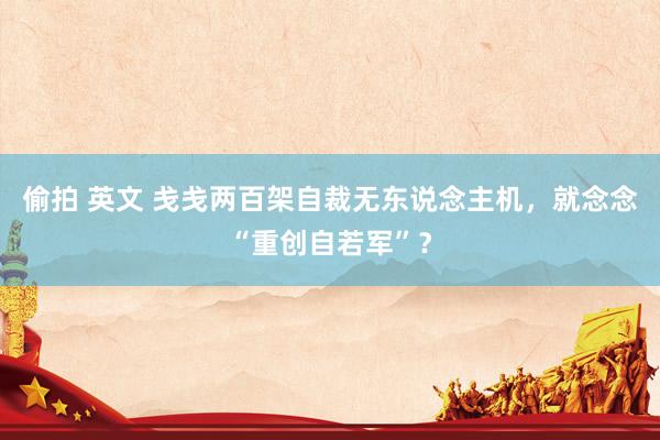 偷拍 英文 戋戋两百架自裁无东说念主机，就念念“重创自若军”？