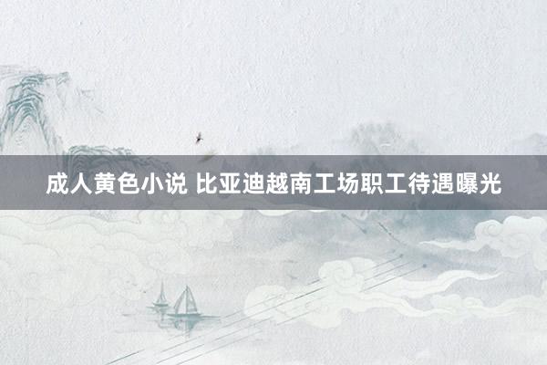 成人黄色小说 比亚迪越南工场职工待遇曝光