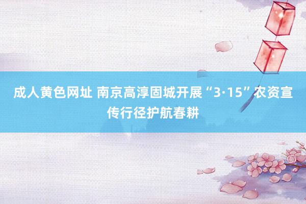 成人黄色网址 南京高淳固城开展“3·15”农资宣传行径护航春耕
