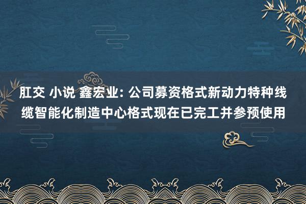 肛交 小说 鑫宏业: 公司募资格式新动力特种线缆智能化制造中心格式现在已完工并参预使用