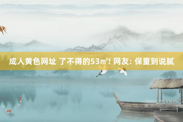 成人黄色网址 了不得的53㎡! 网友: 保重到说腻