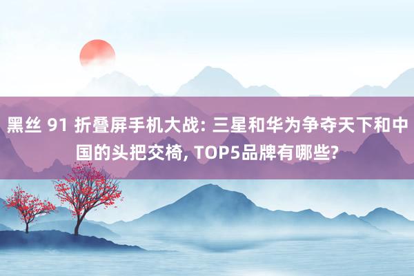 黑丝 91 折叠屏手机大战: 三星和华为争夺天下和中国的头把交椅， TOP5品牌有哪些?